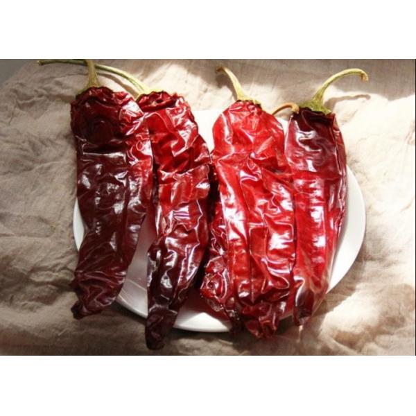 Quality 15% Moisture Sweet Paprika Pepper Pungent Dried Chili Pods 18CM for sale