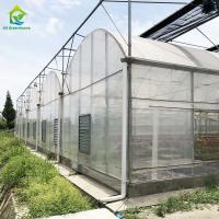 Quality Hot Galvanized Steel Plastic Film Greenhouse For Agricultural for sale