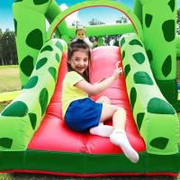 China Customized Kids 3 In 1 Frog Inflatable Bouncer Castle With Ball Pit for sale