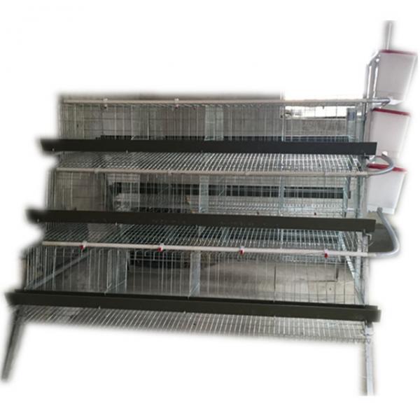 Quality Chicken / Broiler Cage Factory Layer Cage , Farm Chicken Breeding Cages for sale