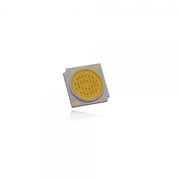 Quality 1800-2000K led cob chips 90-100lm/w High Cri 30W fresh light Epistar chip for sale
