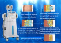 China Effective Cryolipolysis Slimming Machine , 4 - Handle Body Fat Freezing Machine factory