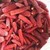 China Wholesale Prices Spicy Taste IQF Frozen Vegetables / Jinta Red Chilli Without Stalks factory