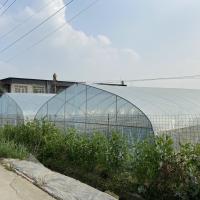 Quality Clear Plastic Film Single-span Greenhouse For Agriculture Stable Structure Frame for sale