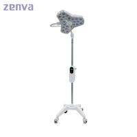 china Clinic Aluminum Alloy Surgical OT Lamp Battery Medical Operated Lights For Hospital