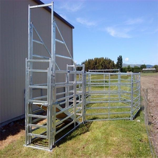 Quality Galvanized Adjustable Loading Ramp Galvanised Steel Material For Livestock for sale