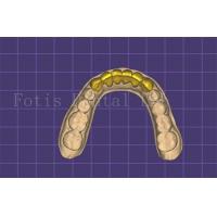 China Customizable Dental Mouth Model Maker Autoclavable FDA Approved factory