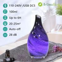 China 100ml DC 5V 5W Essential Oil Aromatherapy Air Humidifier factory