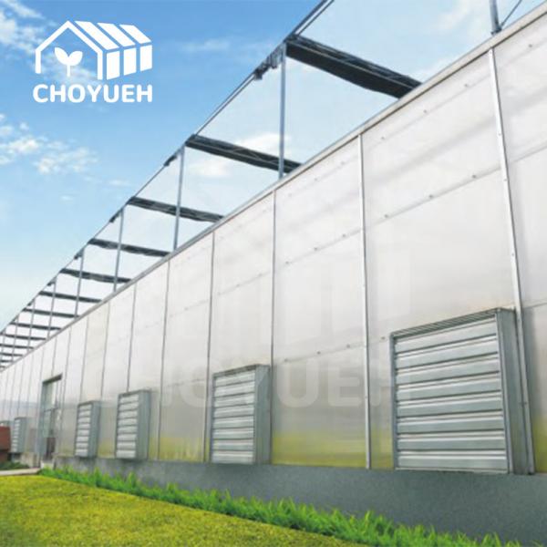 Quality Fire Resistant Polycarbonate Sheet Greenhouse OEM ODM for sale