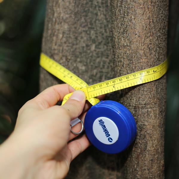 Quality Wintape 2m Diameter Tape Measure Retractable For Measuring Pipe for sale