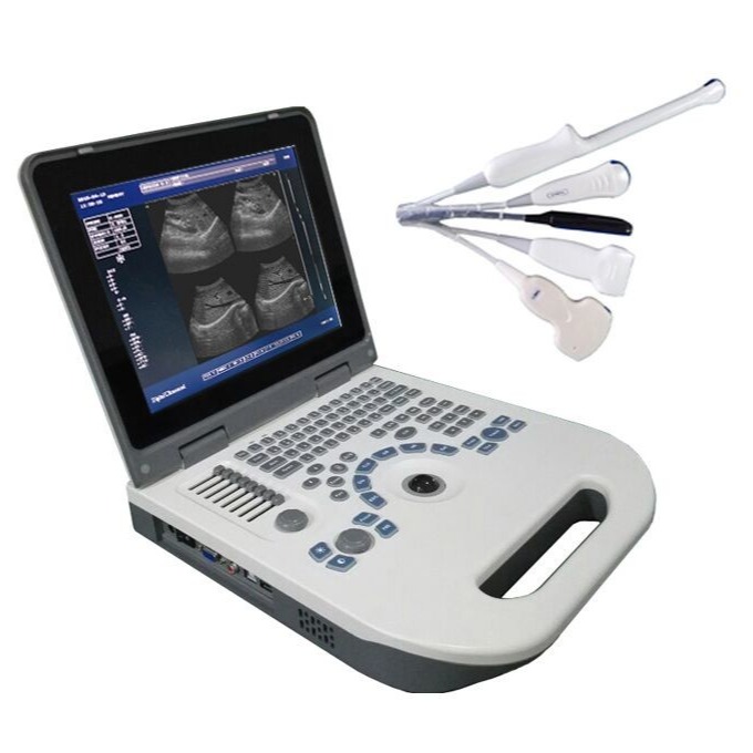 China ISO OB Veterinary Portable Ultrasound Scanner For Animals factory