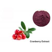 China Cranberry Fruit Purple Red 25% Anthocyanin Extract Powder factory
