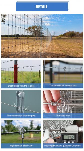 wholesale cattle/sheep/farm/field/deer wire mesh fence galvanized grassland fence