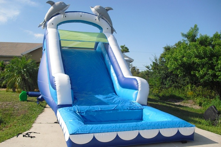 China Play Inflatable Water Slides For Kids / Dolphin Inflatable Pool Water Slide factory