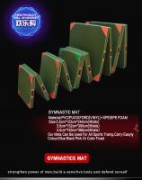 China 50cmx100cmx5cm 60cmx120cmx10cm PU+EVA Foam/ Oxford cloth Folding Gym Mat factory
