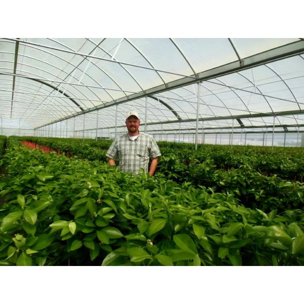 Quality Multi Span Film Hydroponic Garden Greenhouse 10X30m Customizable for sale
