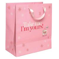 China Recycled Art Paper Luxury Gift Bags CMYK Matt Lamination for sale