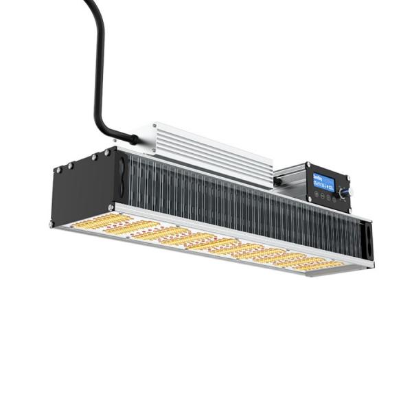 Quality OEM 320w LED Toplighting Grow Light All Year Round Medical Plant Growing Lights for sale