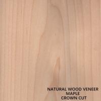 China American Natural Maple Wood Veneer Flat Cut Crown Cut Thickness 0.5mm Good Quality For Furniture And Musical Instrument factory