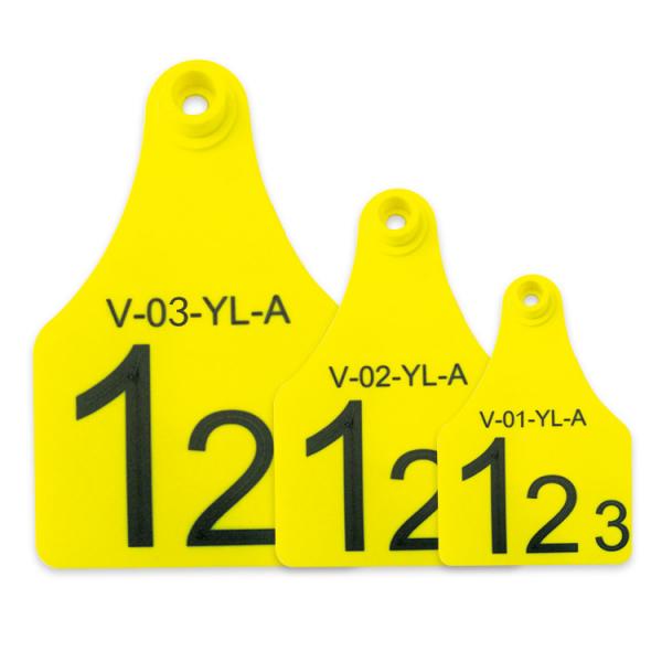 Quality Mini / Middle / Large Size RFID Visual Tag Laser Printing Support Yellow Or Other for sale