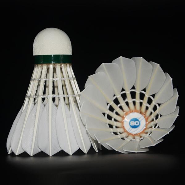 Quality Super Class A Goose Feather Shuttlecock BWF Tournament Level for sale
