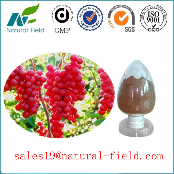 China fructus schisandra chinensis extract with CAS:7432-28-2 GMP manufacturer and competitive price factory