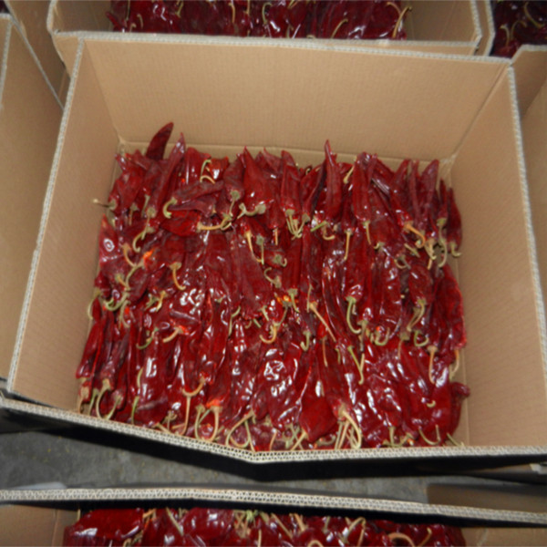 Quality XingLong Dried Red Bell Peppers 8% Moisture Claw Dried Chilli Pepper for sale