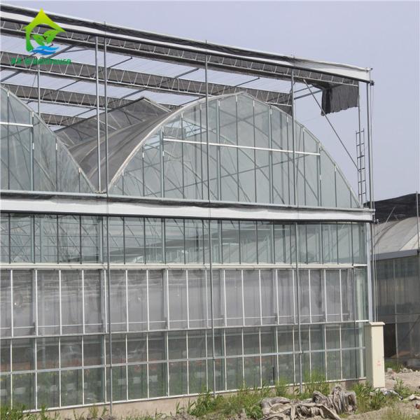 Quality Heavy Duty Glass Hydroponic Nursery Greenhouse For Vegetables for sale