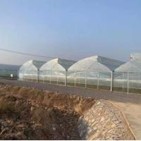 China Long Lifespan 3-5 Years Greenhouse with Plastic Film UV Protected factory