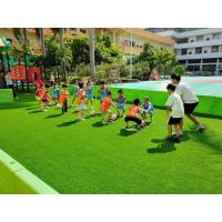 China Realistic Artificial Grass Turf For Garden With Drainage Holes factory