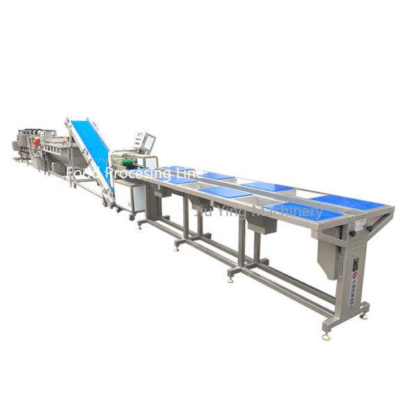 Quality Stainless Steel Salad Production Line / Industrial Vegetable Inspecting for sale