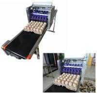 China Automatic Egg Printing Machine For Date , Time , Serial Number factory