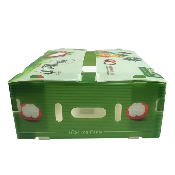 Quality Fruit Vegetable Packing PP Cartonplast Grapes Packing Boxes Plastic Broccoli for sale