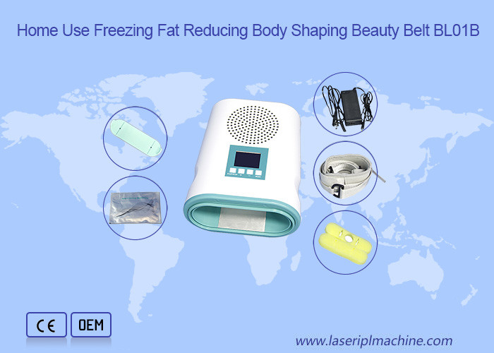 China Home Use 12V Fat Loss Cryolipolysis Slimming Machine factory