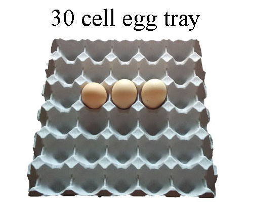 Quality Full Automatic Paper Egg Tray Maker Machine High Efficiency Recycled for sale
