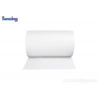 China Polyester Hot Melt Adhesive Film For Textile Fabric To PVC for sale