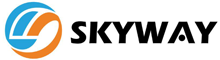 China SHENZHEN SKYWAY TECH CO.,LTD logo