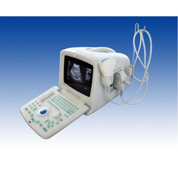 Quality Portable Pregnancy Ultrasound Scanner with Abdominal Convex Transvaginal for sale