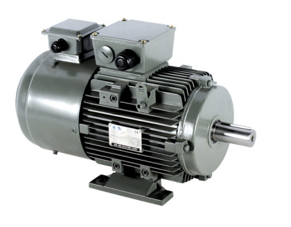 Quality Inverter Duty Induction Motor 3 Phase Aluminum for sale