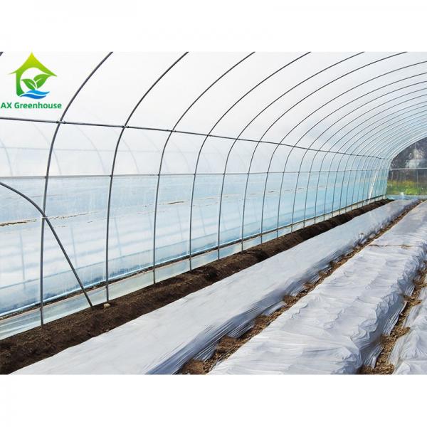 Quality Customized Commercial Poly Tunnel Greenhouse 10*30 Square Meters For Cucumber for sale