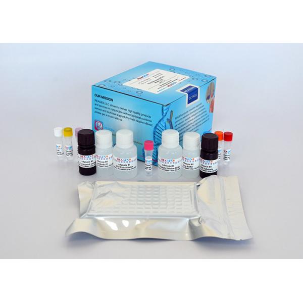 Quality High Recovery Rates Trimethoprim ELISA Test Kit Used For Milk / Serum And Urine for sale