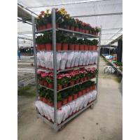 China 53.1x22.2x74.8inch Danish Flower Trolley ISO Garden Plant Cart factory