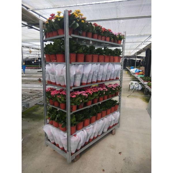 Quality TC0131 Danish Trolley Shelves Horticultural Sector Flower Steel Roll for sale