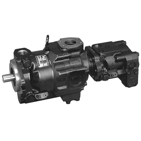Quality High Pressure Parker Denison Hydraulic Pump PAVC100R422 PAVC100R4HM22 PAVC33 PAVC65 PAVC100 for sale