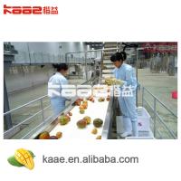 China SS304  Mango Processing Line Pineapple Juice Concentrate With Belt Presser factory