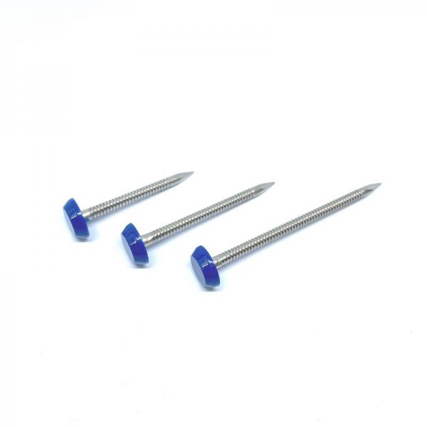 Quality 40mm SUS316 Ring Shank Plastic Cap Nails For Fixing Fascia And Soffit for sale