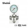 China Air oil water mpa diaphragm seal bourdon tube 300 bar pressure gauge price factory