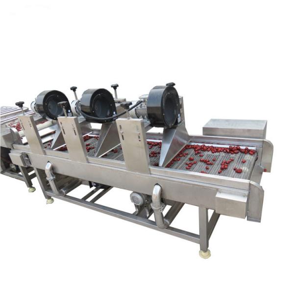 Quality Industrial Commercial Fruit Vegetable Processing Machine For Slicing Fruit for sale