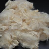 Quality Breathable Soybean Protein Fiber Mild Flavor Organic Soy Bean Fibre for sale