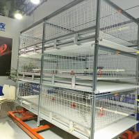 Quality Galvanized 380V 120/150 Broiler Chicken Cage For Poultry SGS Certificated for sale